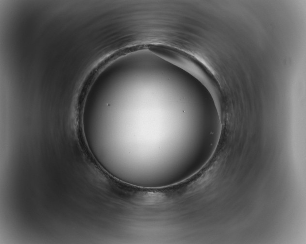 X0000088851119200706081130