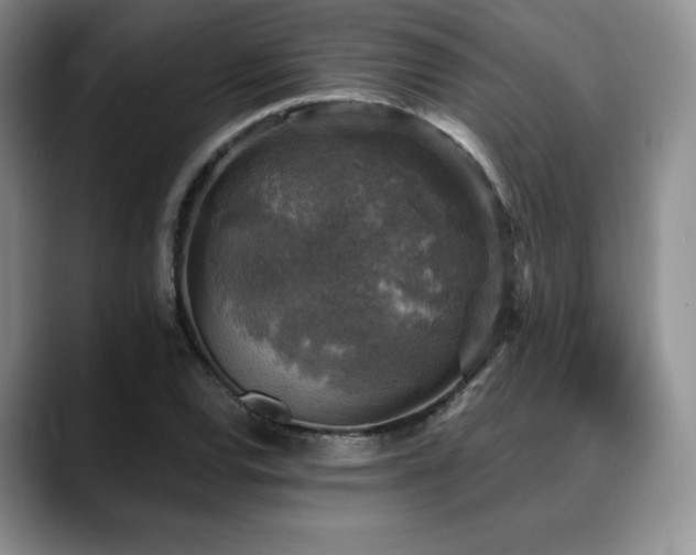 X0000088851120200706081130