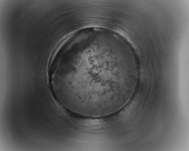 X0000088851121200706081130