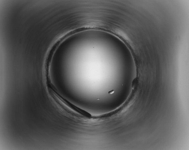 X0000088851122200706081130
