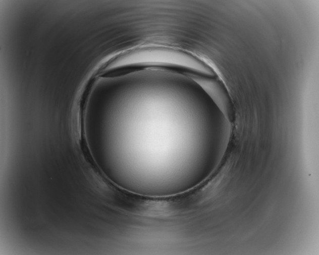 X0000088851123200706081130