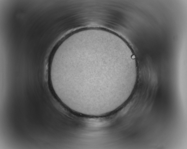 X0000088851126200706081130