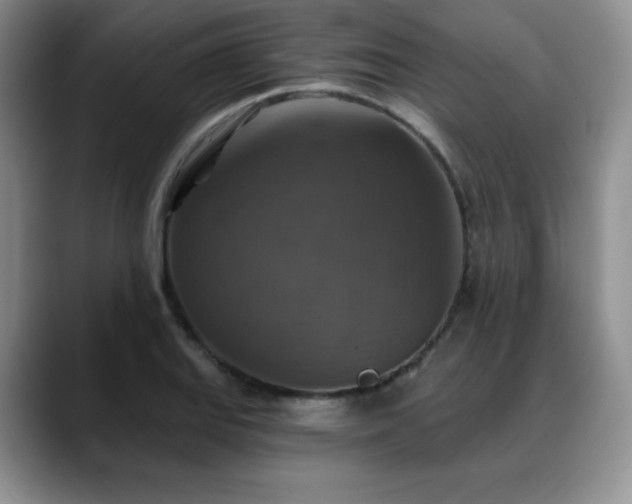 X0000088851127200706081130
