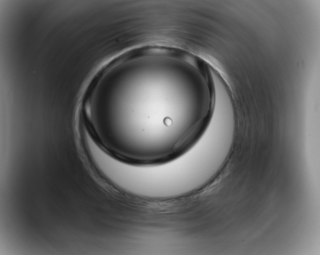 X0000088851128200706081130