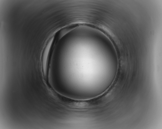 X0000088851129200706081130