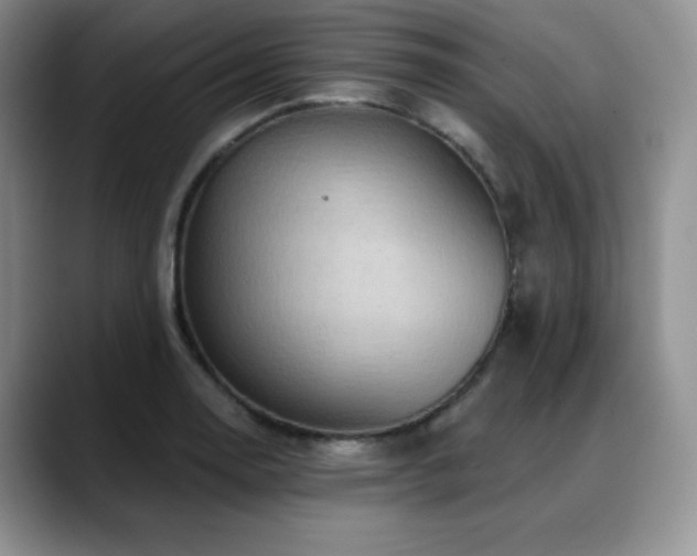 X0000088851130200706081130