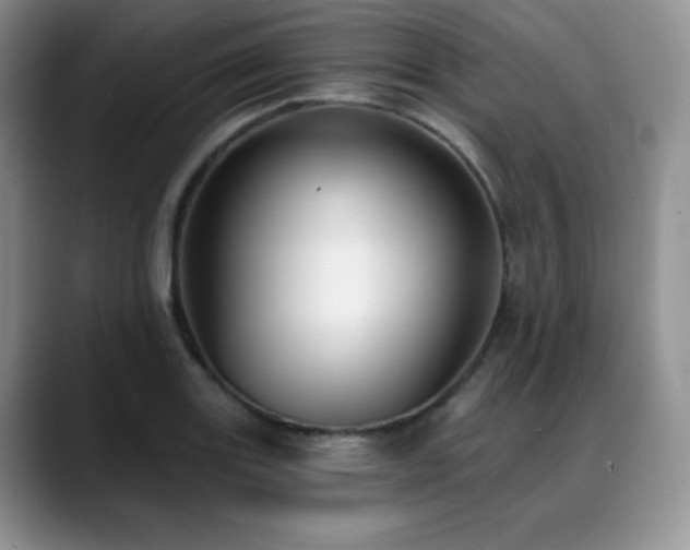 X0000088851131200706081130