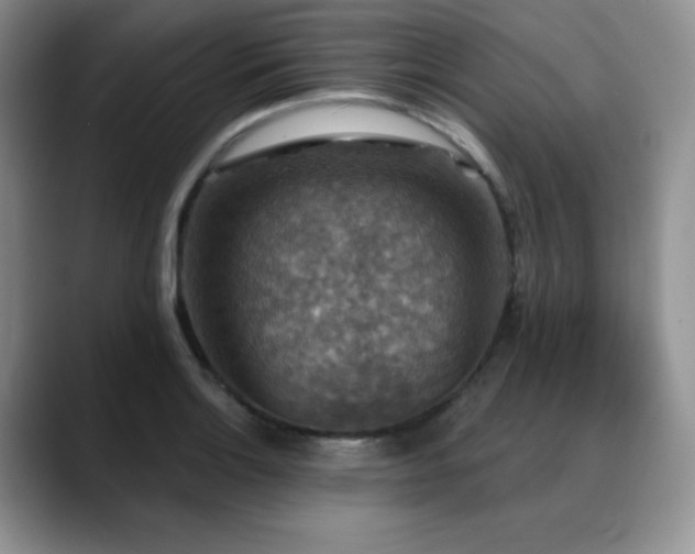 X0000088851132200706081130