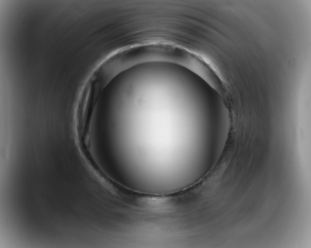 X0000088851134200706081130
