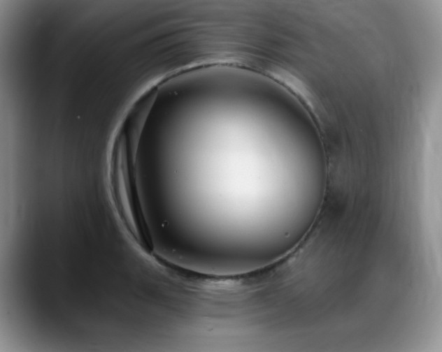X0000088851135200706081130