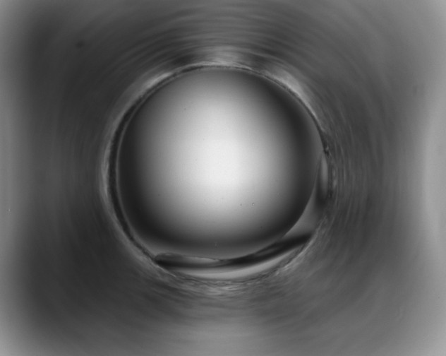 X0000088851139200706081130