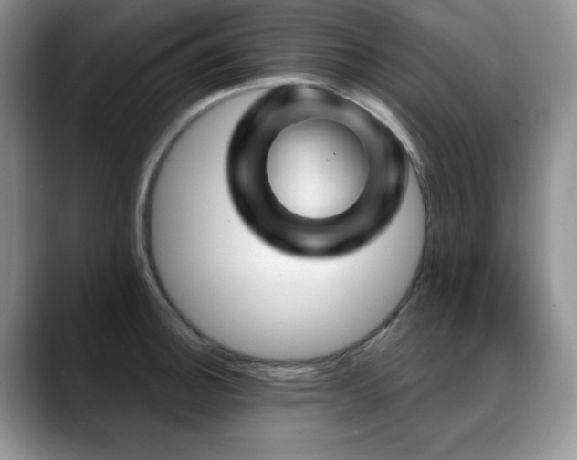 X0000088851140200706081130