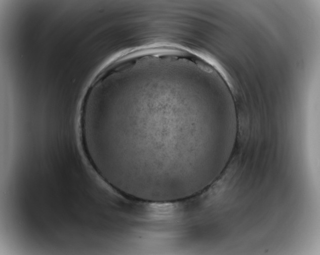 X0000088851142200706081130
