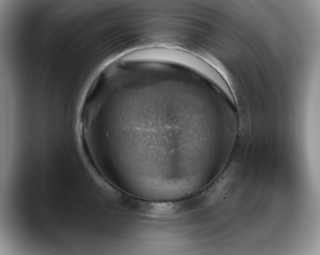 X0000088851144200706081130
