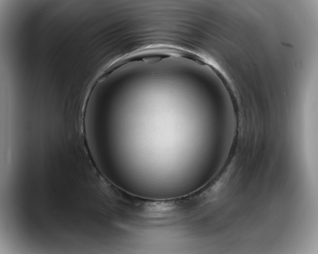 X0000088851145200706081130