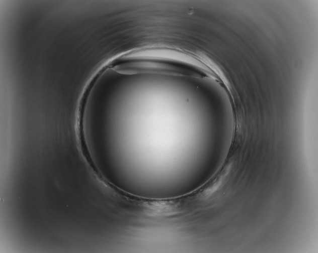 X0000088851149200706081130