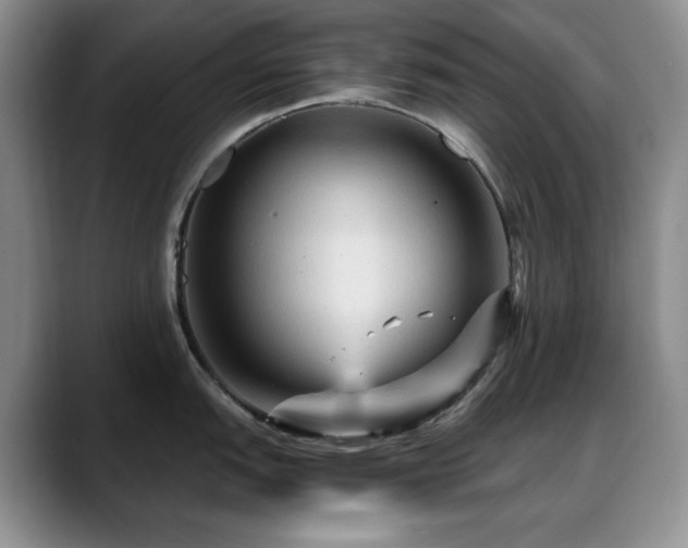 X0000088851151200706081130