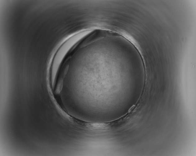 X0000088851152200706081130