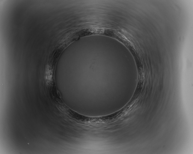 X0000088851154200706081129