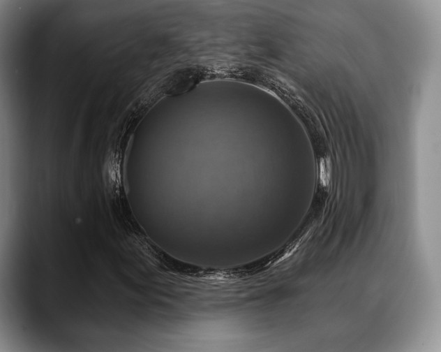 X0000088851155200706081129