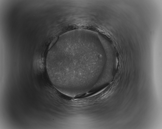 X0000088851156200706081129