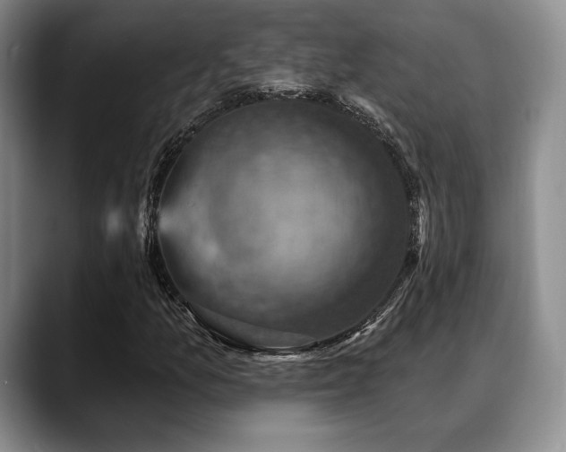 X0000088851157200706081129
