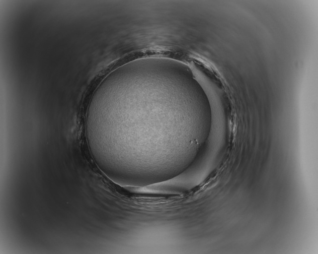 X0000088851160200706081129