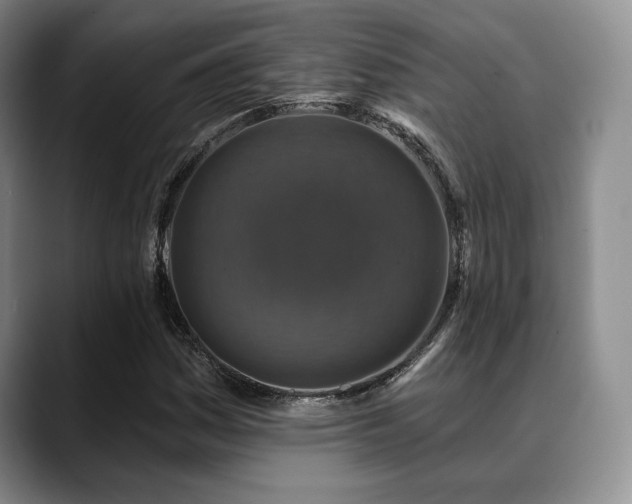 X0000088851161200706081129
