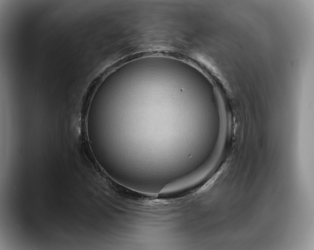X0000088851165200706081129