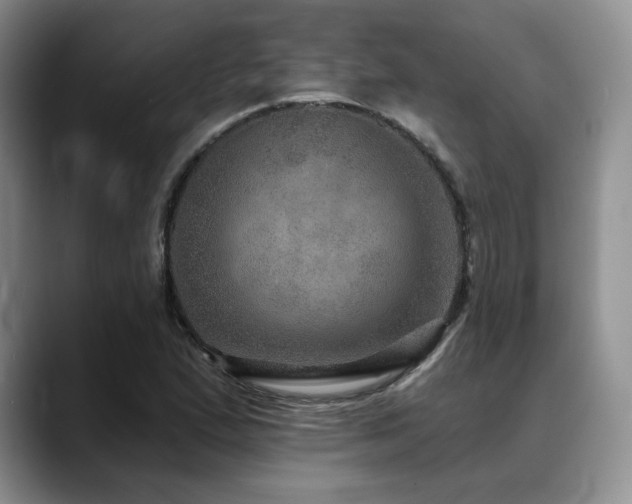 X0000088851167200706081129