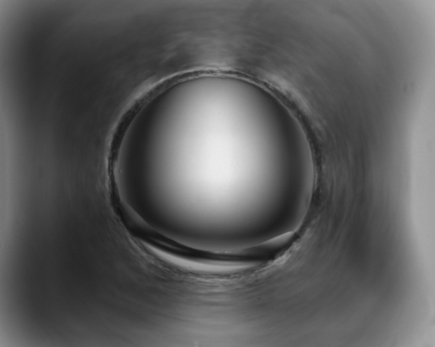 X0000088851168200706081129