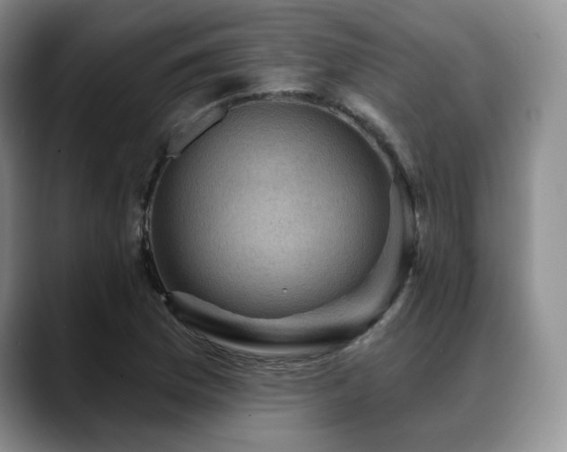 X0000088851169200706081129
