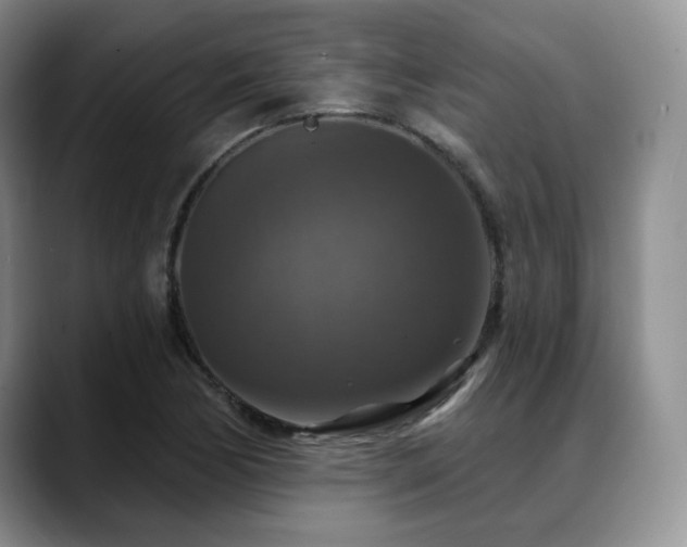 X0000088851170200706081129