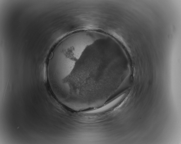 X0000088851171200706081129