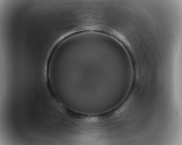 X0000088851174200706081129