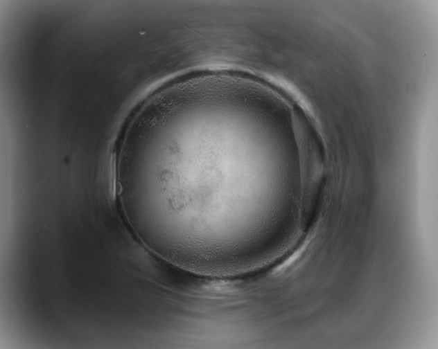 X0000088851175200706081129