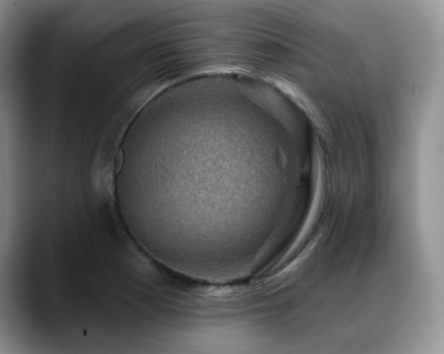 X0000088851177200706081129