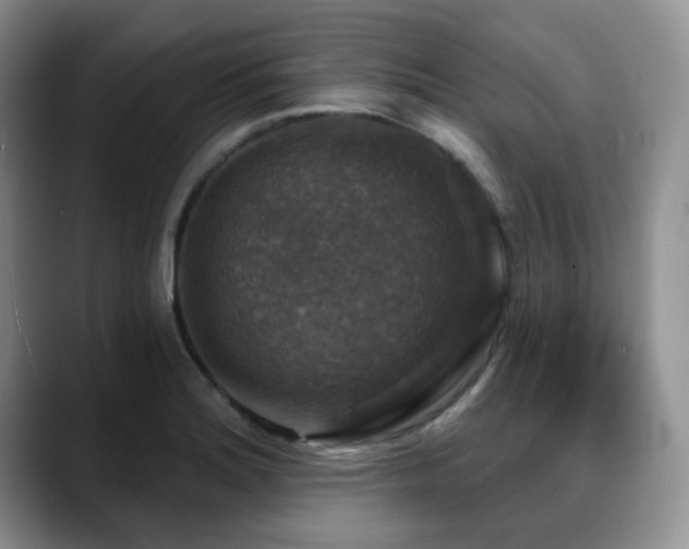 X0000088851180200706081129