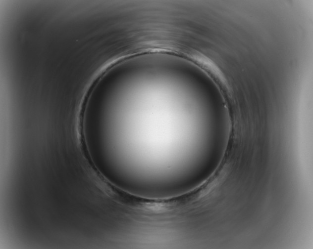 X0000088851182200706081129