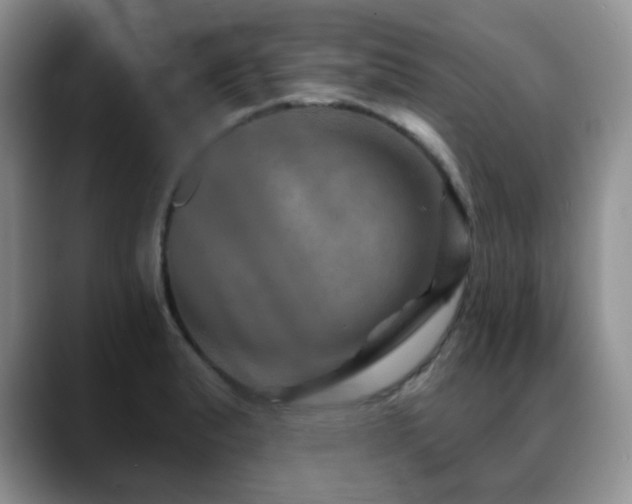 X0000088851183200706081129