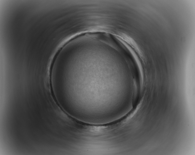 X0000088851184200706081129