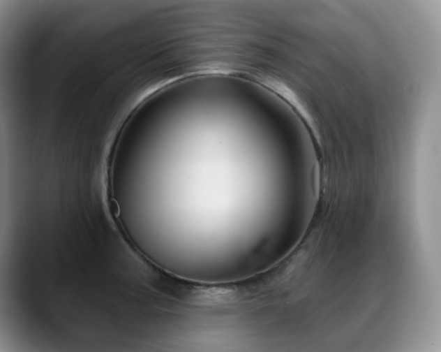 X0000088851187200706081129