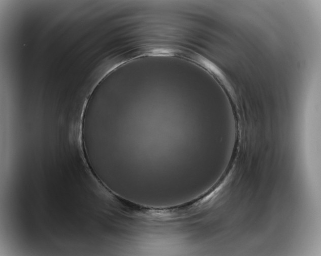X0000088851194200706081129