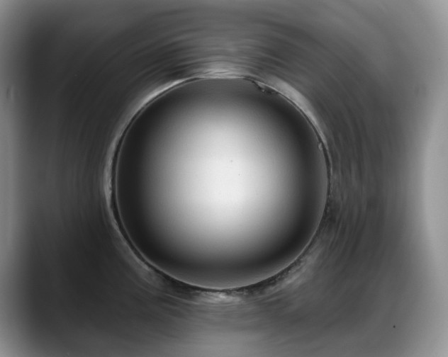 X0000088851195200706081129