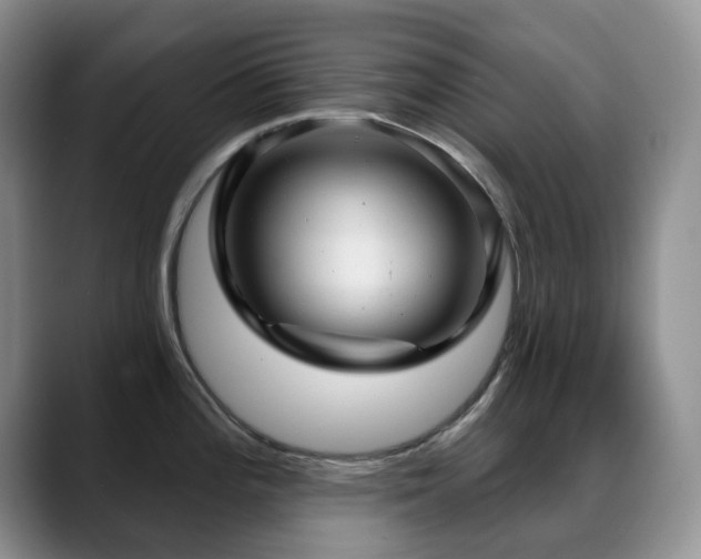 X0000088851196200706081129
