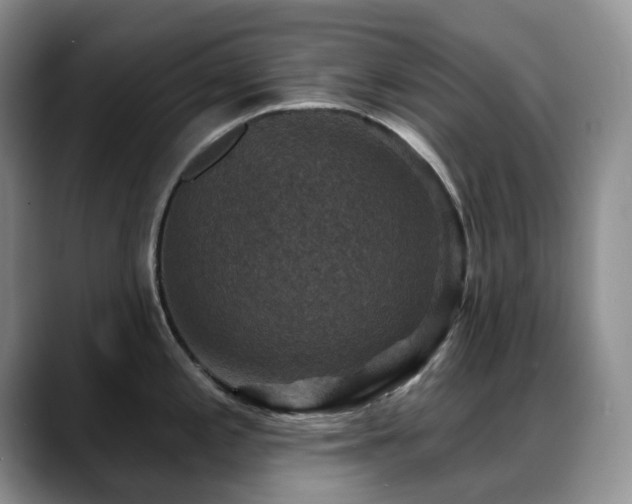 X0000088851197200706081129