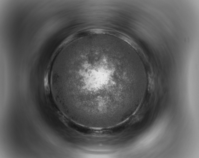 X0000088851198200706081129