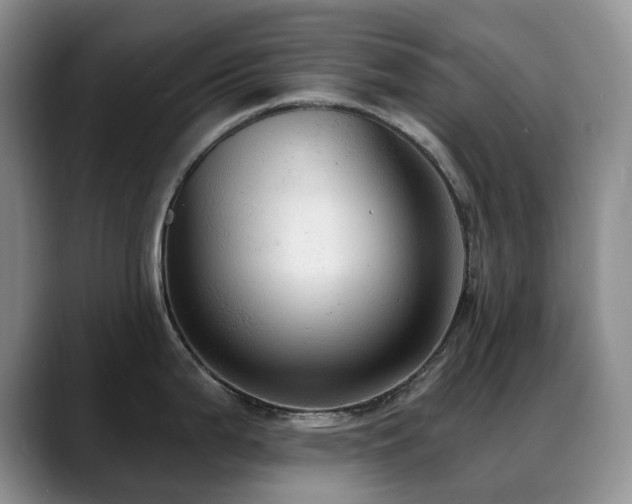 X0000088851199200706081129