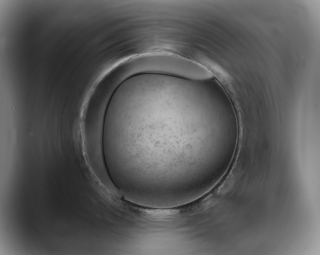 X0000088851200200706081129