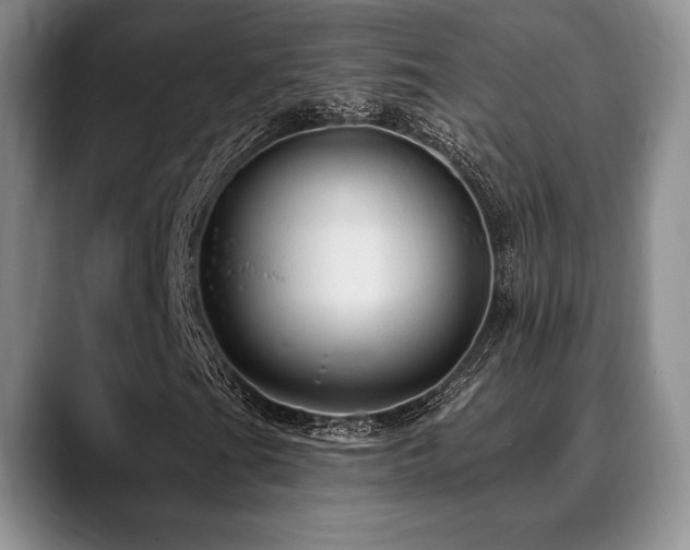 X0000088851201200706081128